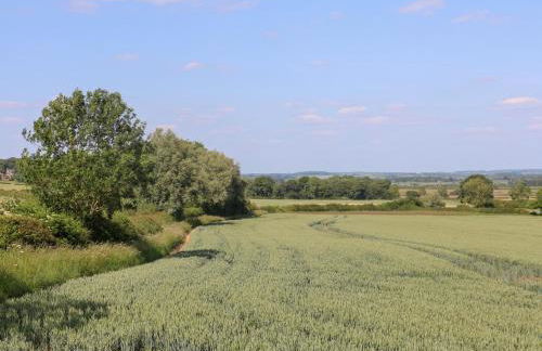 Mandarin Cottage - Photo 28