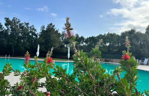 ILIA'S House Porto Rotondo - Foto 19