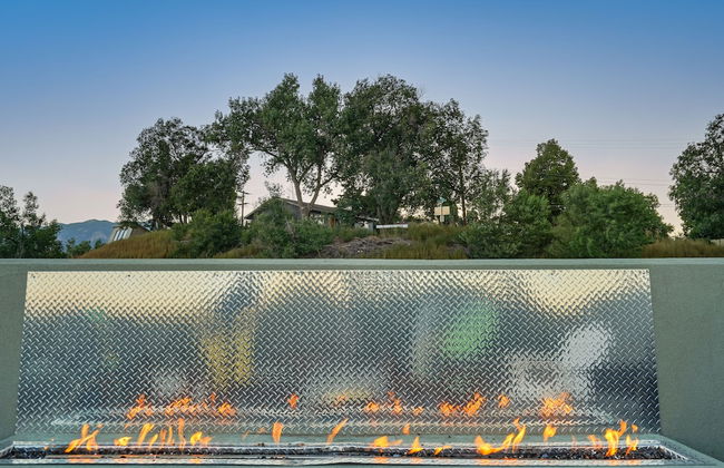 Chipmunk Complex - Foto 57