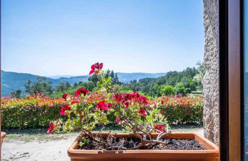 Quinta da Baldieira - Foto 61