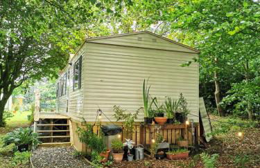Doughery Den The Dark Hedges Hideaway - Foto 14