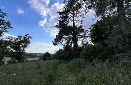 Métairie de Moutiques - Photo 7