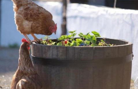 Holiday Home - St Austell - Foto 25