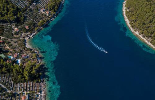 Villa Goga - Photo 6