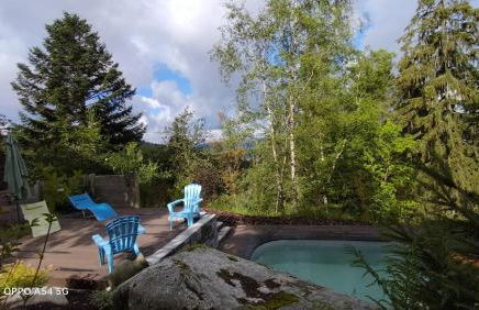 Chalet luxe 12 personnes SPA SAUNA VOSGES-GERARDMER - Foto 7