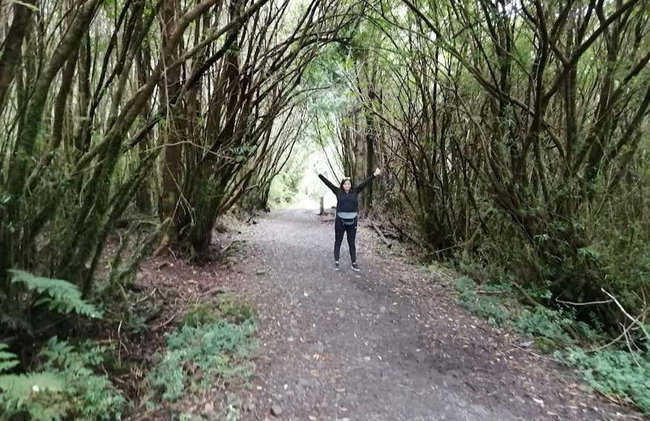 Senderismo por el Parque Nacional Alerce Andino - Foto 7