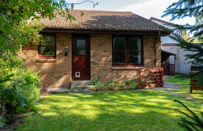 Glenfiddich - Foto 17