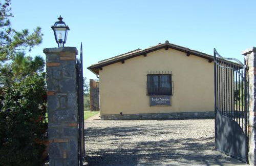 Predio Potantino - Foto 37