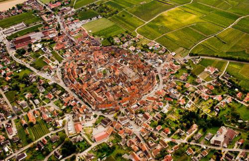 Gite Edelweiss à Eguisheim - Foto 70