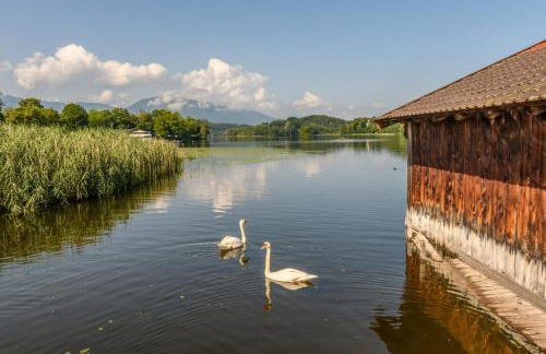 Ferienhaus Villa Alpenpanorama - Foto 154