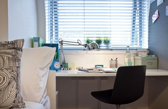 Student Only OLIB - Foto 9