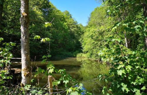 Schmahl Comfortable holiday residence - Foto 11