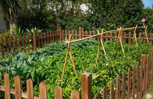 Casara Seis o Casara Siete - Tu casa a 100m de la playa de Zahora - Foto 38