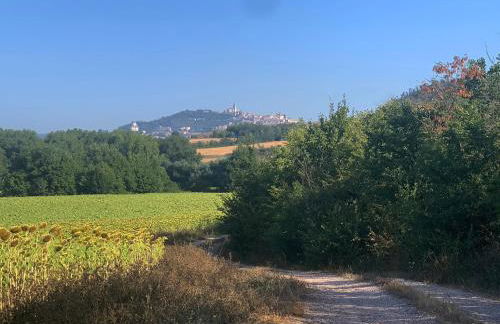 Todi Villa San Martino - Foto 57