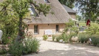 BunnyHuus Studio - Foto 2