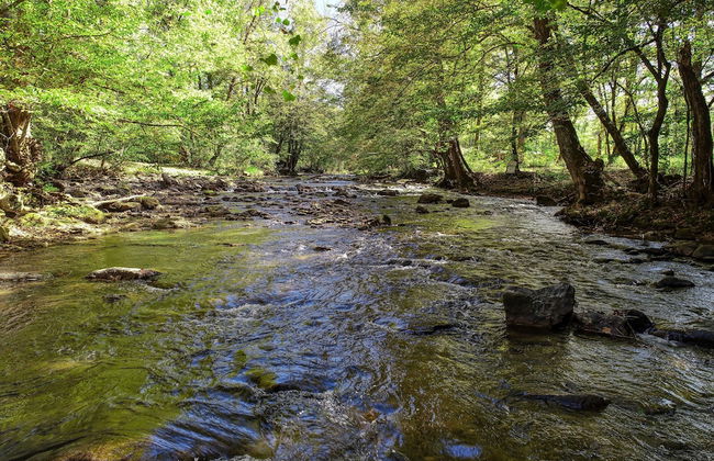 Whispering Creek - 2 Bedrooms, 1 Baths, Sleeps 6 Cabin by RedAwning - Foto 13