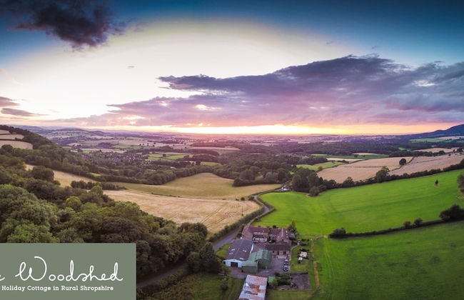 The Woodshed - Photo 13