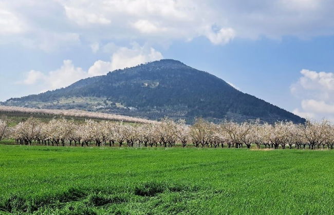 Mount Tabor Home by Sea N' Rent - Foto 46