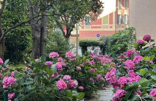 Aquarium Apt SML - Parcheggio Gratis, Terrazzo - Foto 1