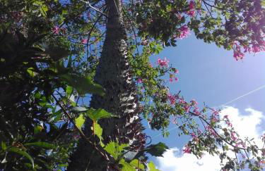 Litto Appartamenti - Photo 38