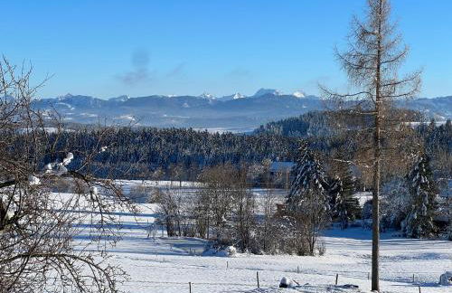 Kuh Heimat - Bergblick - Terrasse - Photo 47