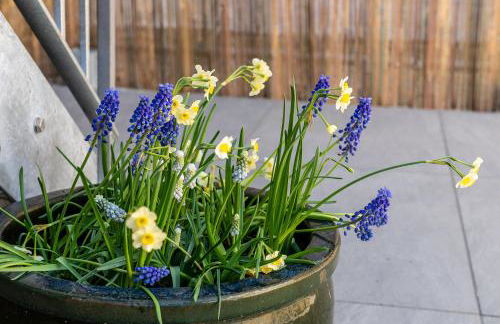 Hednes Barn - Foto 31