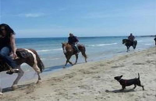 Casa Magnolia - Foto 53