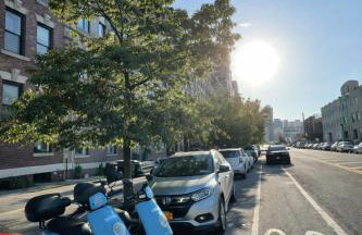 Room in a 2 Bedrooms Apartament Long Island City, Kitchen and Bathroom shared with very nice host - Foto 2