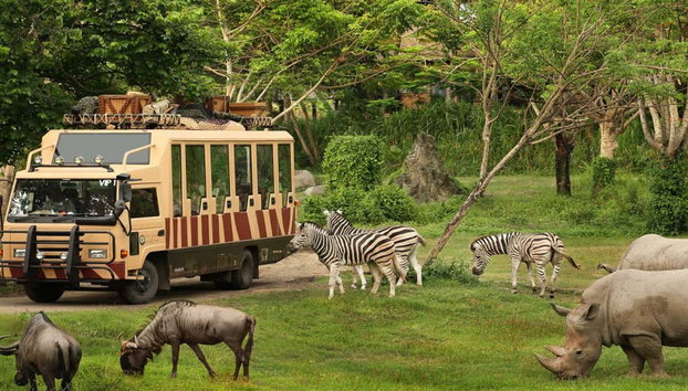 Entrada a Safari and Marine Park - Foto 3