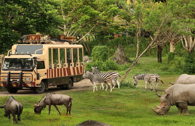 Bali Safari & Marine Park Tickets - Photo 3