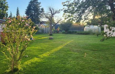 Haus am Stadtrand von Berlin - Photo 9