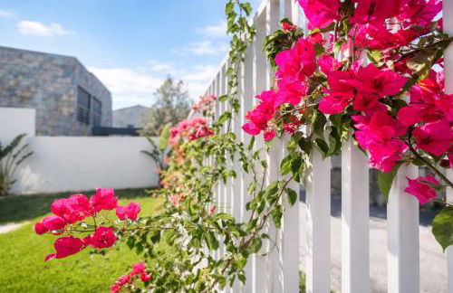 Sintra Dream Garden Villa - Foto 13