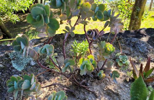 Lake Square House - Foto 16