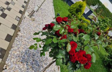 Apartman Vanna - Foto 9