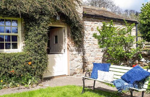 Alpine Cottage - Photo 17