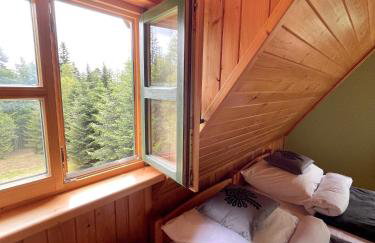 Baranówka - Foto 56