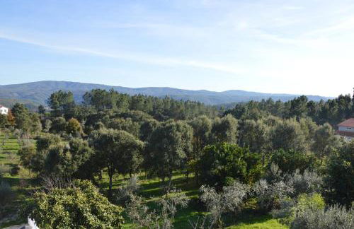 Ouzenda do Zêzere - Foto 8