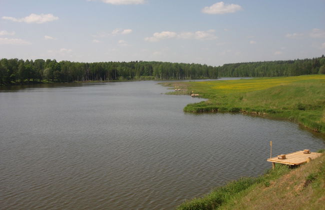 Far Cordon - Photo 11