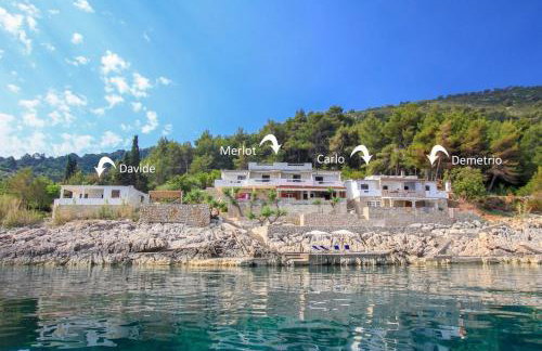 Robinson Merlot - Foto 42