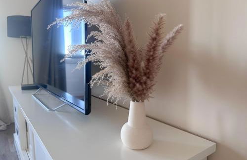 Charmant appartement avec 4 chambres à Orléans Sud - Foto 4