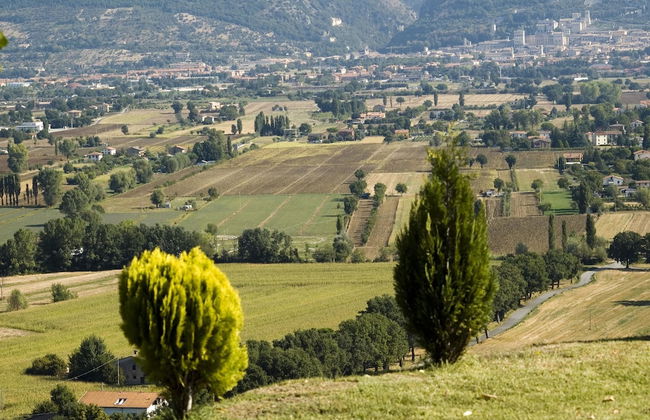 Azienda Agraria Montelujano - Photo 36
