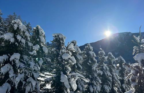 MiraOdle Apartments - Photo 12