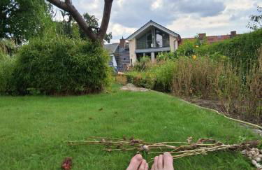 Ferienwohnung MiJo, mit Charme und Ostseenah - Foto 32