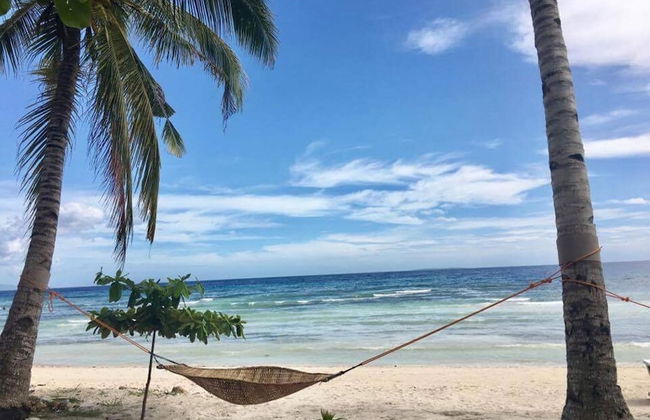 The Whitehouse by the Sea - Photo 51