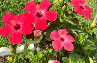 HIDDEN GEM - Family Friendly Pool Home -Welcome - Photo 41