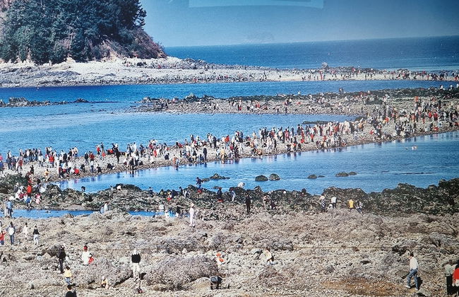 Anmyeondo In You Pension - Foto 69