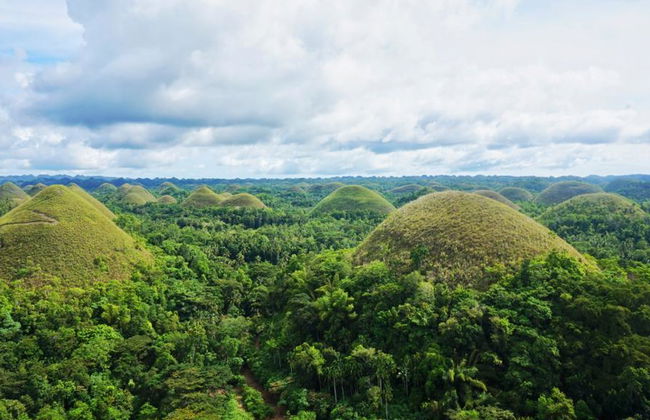 Discover Bohol with Private Chauffeur Services - Photo 1