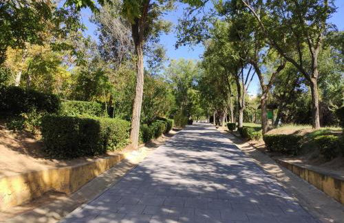 Apartamento Rosa Park - Foto 16