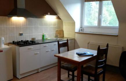 Les Buissonnets - Foto 48