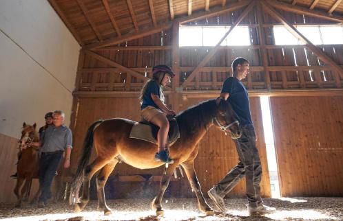 Bauernhof Süßhof - Foto 43